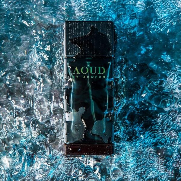 Oud Perfume Wooden Oriental Fragrance Popular Perfume – Aoud - Image 4