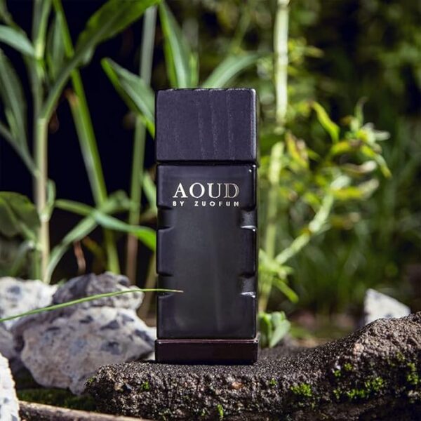 Oud Perfume Wooden Oriental Fragrance Popular Perfume – Aoud - Image 5