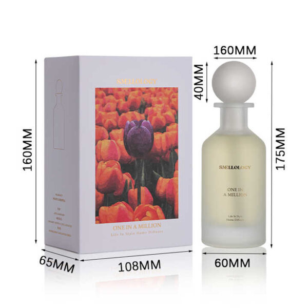 Enduring Natural Fragrance Reed Diffuser 160ml - Image 5
